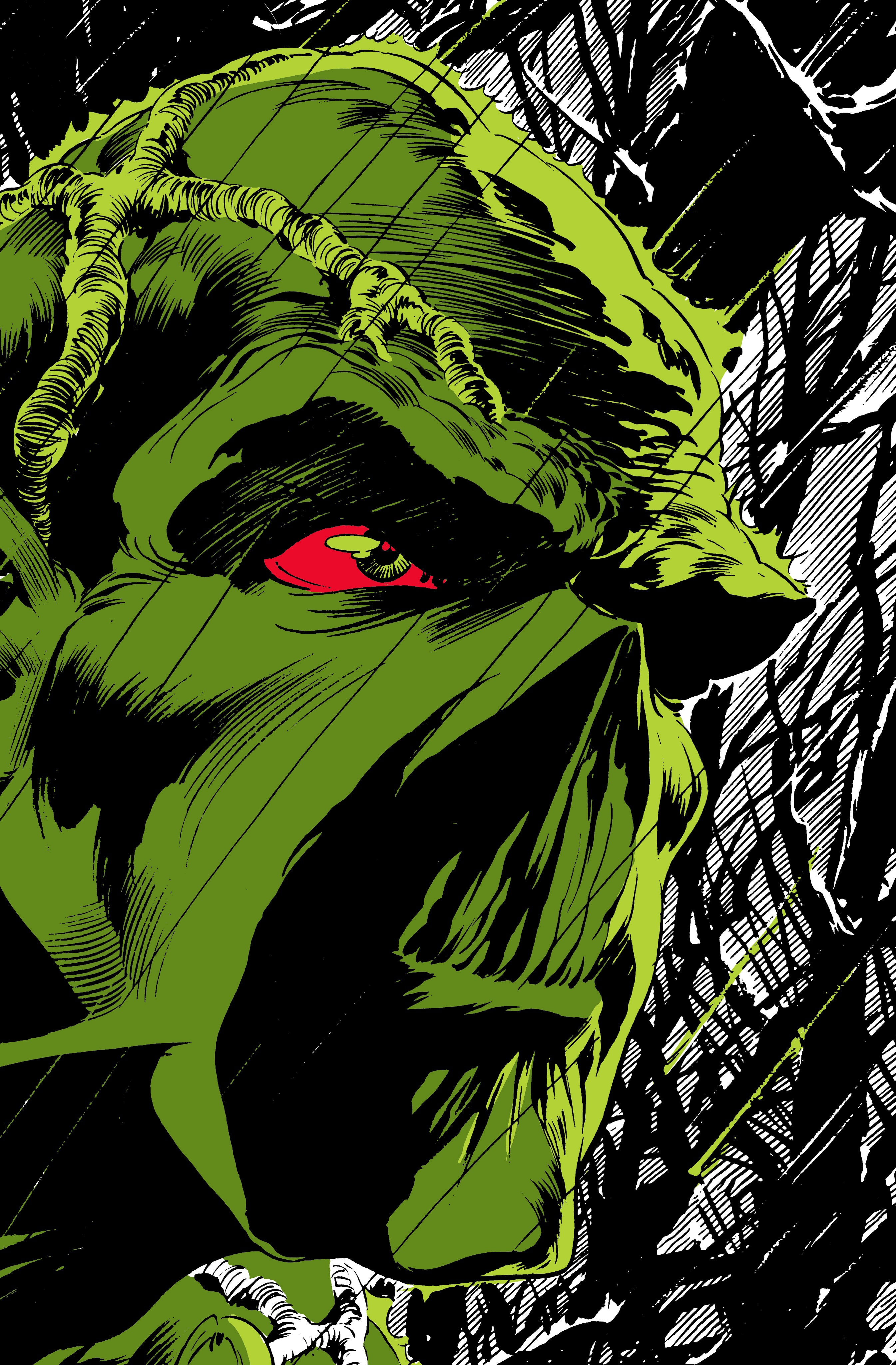 ABSOLUTE SWAMP THING BY LEN WEIN & BERNIE WRIGHTSON HARDCOVER