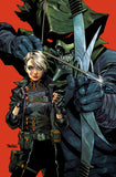 ABSOLUTE GREEN ARROW #3 CVR C DAN PANOSIAN CARD STOCK VAR