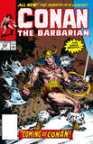 CONAN THE BARBARIAN THE ORIGINAL COMICS OMNIBUS HC VOL 09 REGULAR EDITION MICHAEL HIGGINS