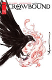 CROWBOUND #1 2ND PTG CVR A DUSTIN NGUYEN