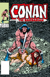 CONAN THE BARBARIAN THE ORIGINAL COMICS OMNIBUS HARDCOVER VOL 07 DIRECT MARKET EDITION JOHN BUSCEMA COVER