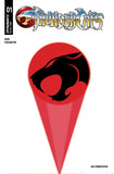 THUNDERCATS (2026) #1 CVR Q EYE OF THUNDERA BLANK AUTHENTIX VAR