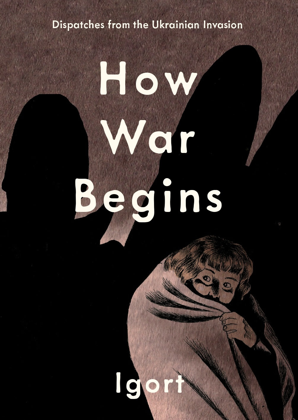 HOW WAR BEGINS HARDCOVER DISPATCHES FROM THE UKRAINIAN INVASION