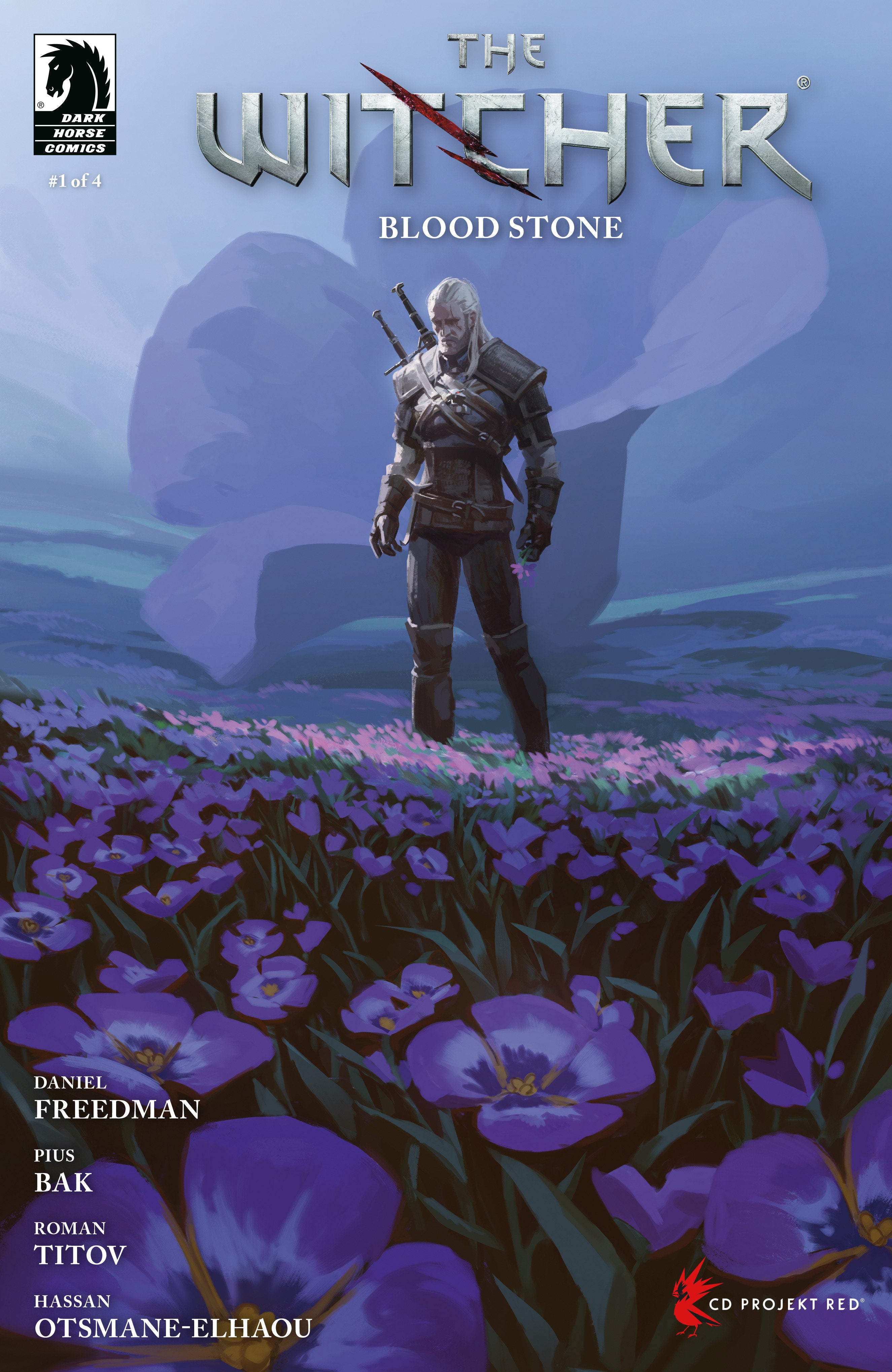 THE WITCHER: BLOOD STONE #1 COVER C AXEL SAUERWALD