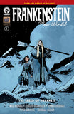 FRANKENSTEIN: NEW WORLD--THE SPEED OF DARKNESS #1 COVER A PETER BERGTING