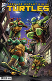 TEENAGE MUTANT NINJA TURTLES #15 COVER C CREEES LEE