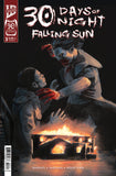 30 DAYS OF NIGHT: FALLING SUN #3 COVER A SHEHAN