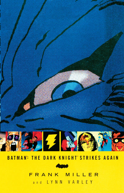 DARK KNIGHT STRIKES AGAIN TRADE PAPERBACK                                