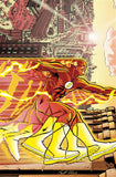 FLASH BY GEOFF JOHNS TRADE PAPERBACK BOOK 02