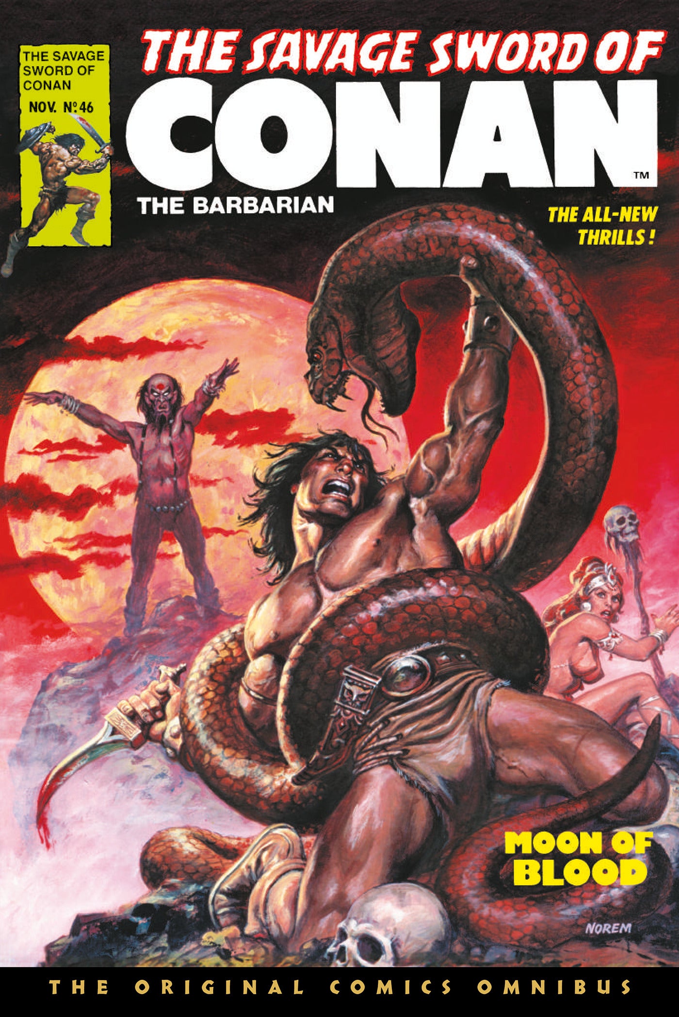 SAVAGE SWORD OF CONAN THE ORIGINAL COMICS OMNIBUS HARDCOVER VOL 04 REGULAR EDITION EARL NOREM 