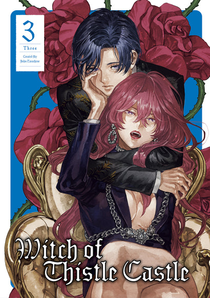 WITCH OF THISTLE CASTLE TRADE PAPERBACK VOL 03