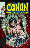 CONAN THE BARBARIAN THE ORIGINAL COMICS OMNIBUS HARDCOVER VOL 07 REGULAR EDITION MIKE DOCHERTY