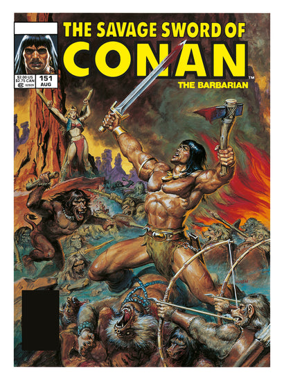 SAVAGE SWORD OF CONAN THE ORIGINAL COMICS OMNIBUS HARDCOVER VOL 11 DIRECT MARKET EDITION DOUG BEEKMAN COVER