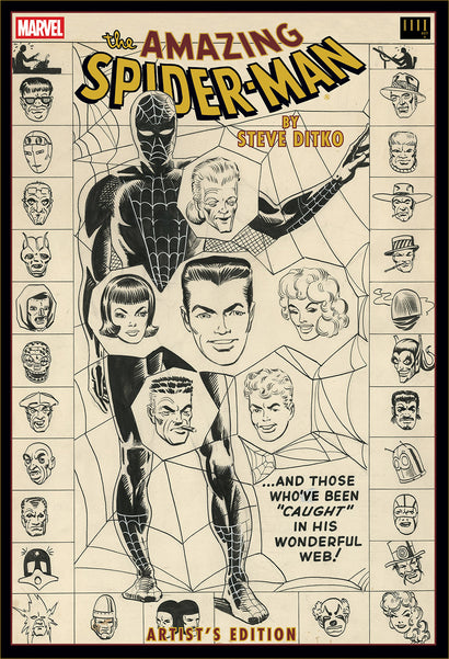 AMAZING SPIDER MAN BY STEVE DITKO ARTISTS EDITION HARDCOVER DIRECT MARKET EXCLUSIVE WEB COVER