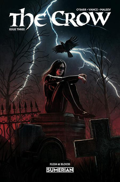 CROW FLESH AND BLOOD #3 CVR A EDUARDO SCHAAL