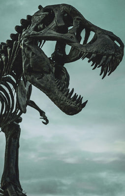BIG BUNDLE OF DINOSAURS READER PACK (BUNDLE OF 8)