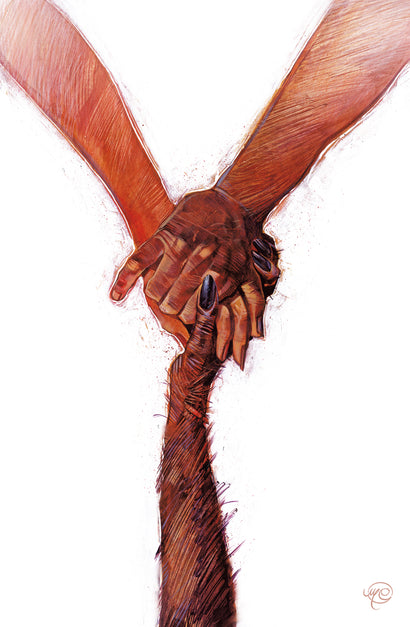 Y THE LAST MAN COMPENDIUM 2 TRADE PAPERBACK