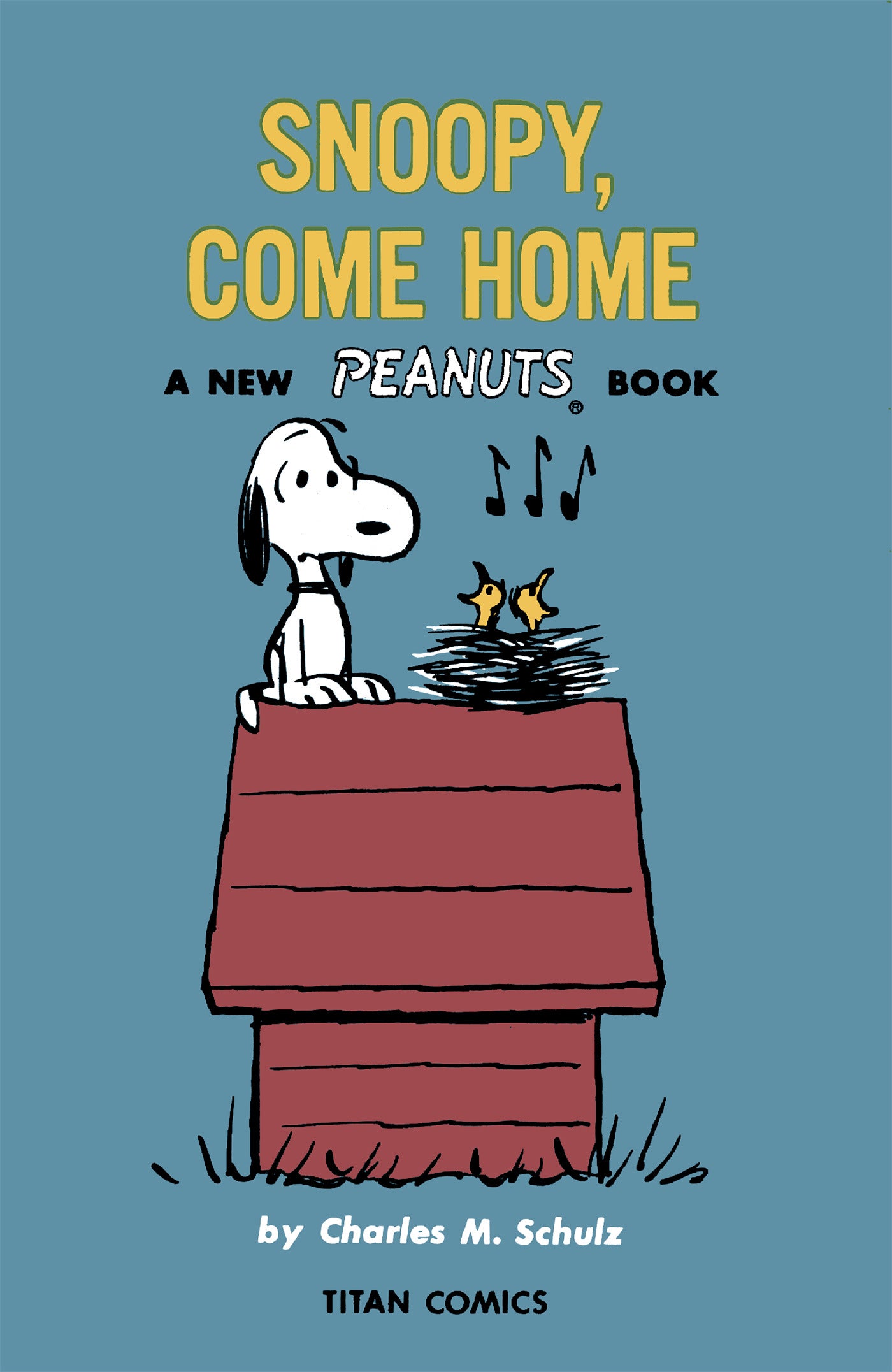 PEANUTS SNOOPY COME HOME TRADE PAPERBACK