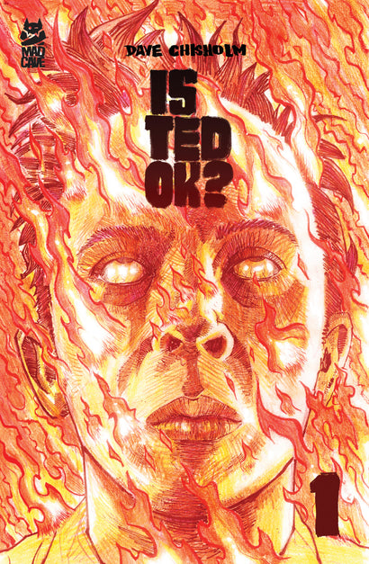 IS TED OK #1 COVER A DAVE CHISHOLM