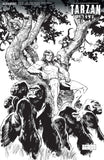 TARZAN BEYOND #2 VARIANT D BROWN B&W