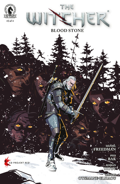 THE WITCHER: BLOOD STONE #2 COVER A PIUS BAK