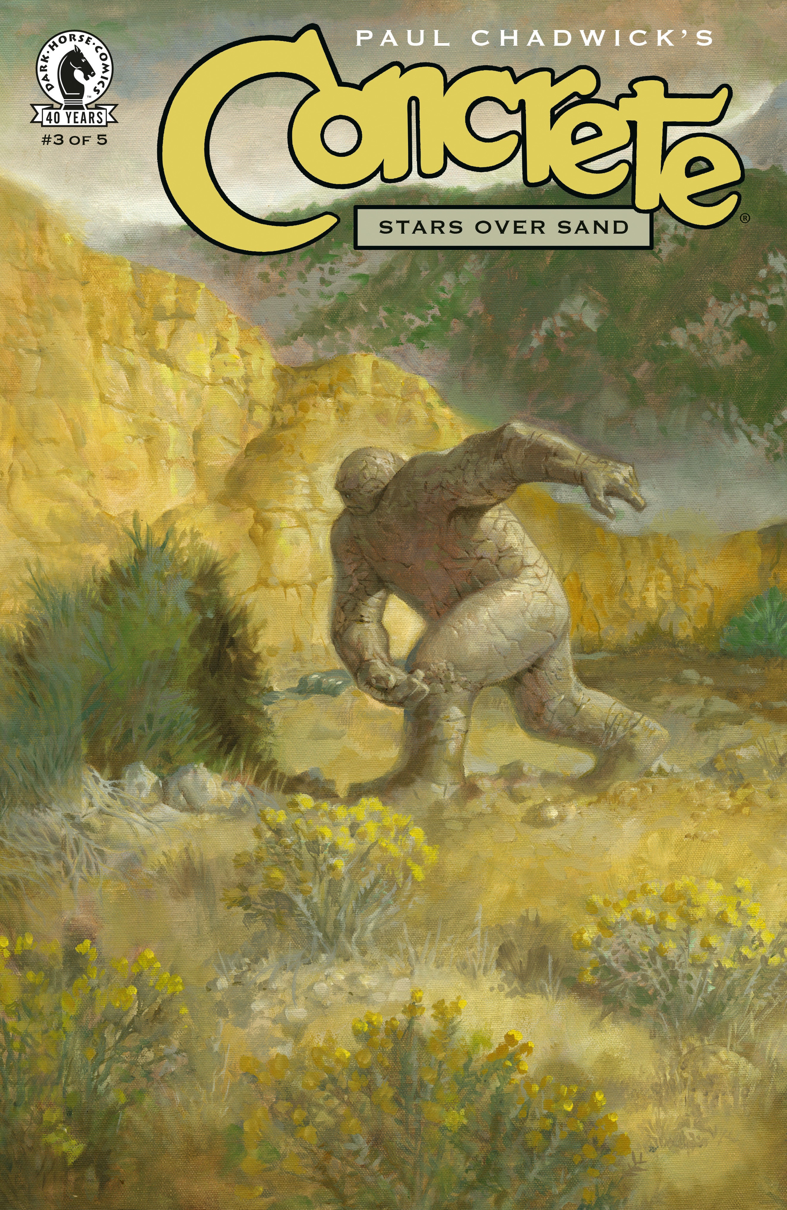 CONCRETE: STARS OVER SAND #3 CVR A PAUL CHADWICK