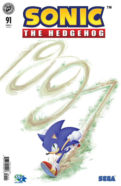SONIC THE HEDGEHOG #91 VARIANT B (HAINES)