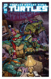 TEENAGE MUTANT NINJA TURTLES #14 COVER C CULLUM