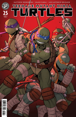 TEENAGE MUTANT NINJA TURTLES #25 COVER A (CABAL)