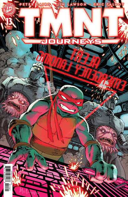 TMNT: JOURNEYS #13 VARIANT B WACHTER