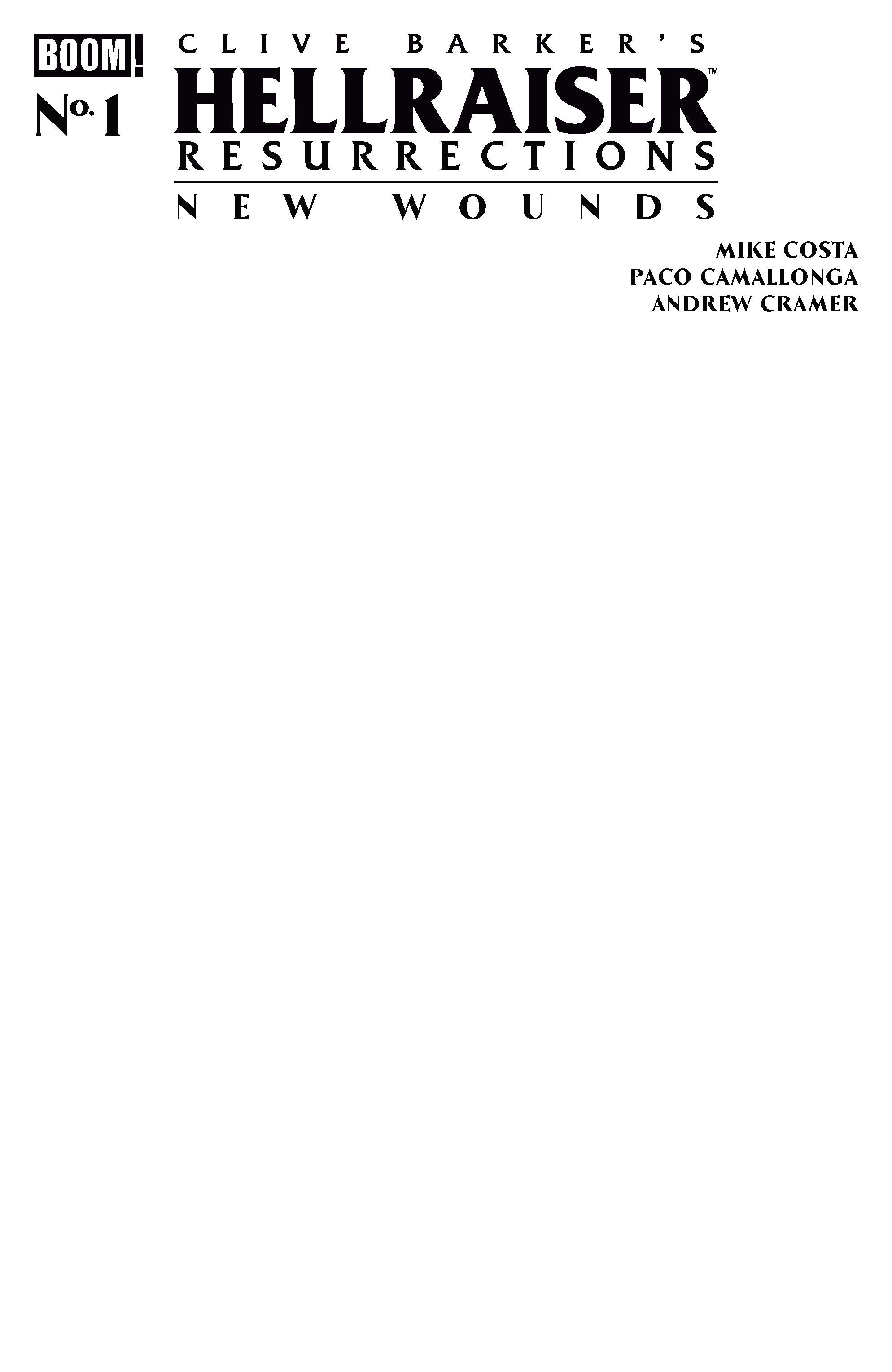 HELLRAISER: RESURRECTIONS - NEW WOUNDS #1 C BLANK SKETCH 