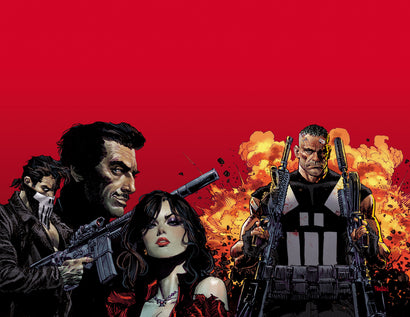MARVEL KNIGHTS: PUNISHER TRADE PAPERBACK