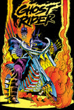 GHOST RIDER: DANNY KETCH OMNIBUS VOL. 3 RON GARNEY COVER [DM ONLY] HARDCOVER