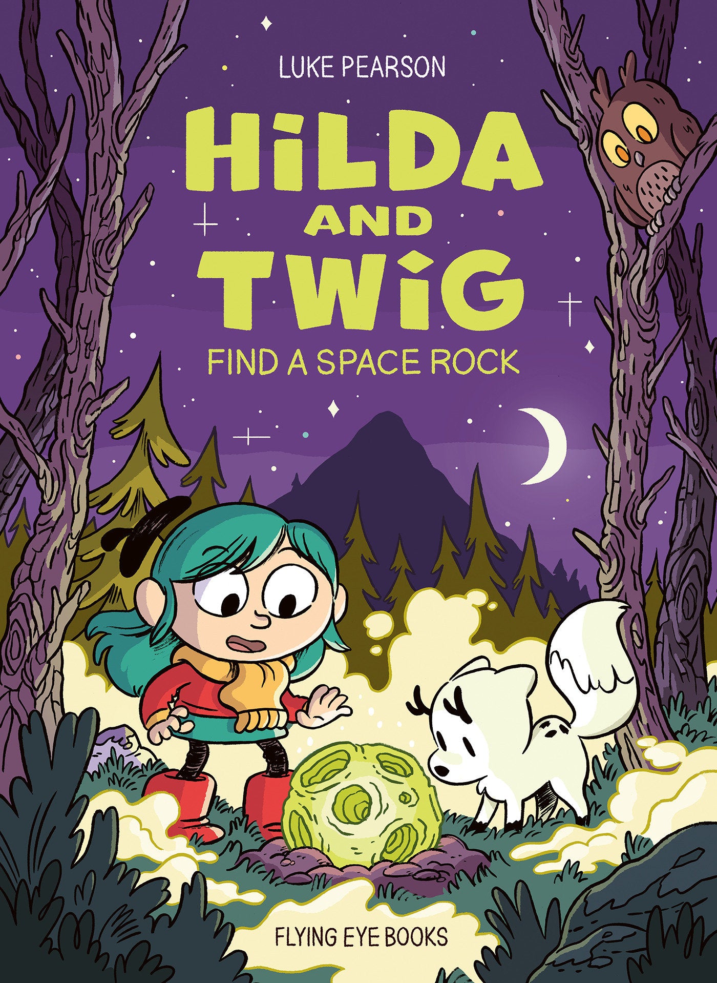 HILDA AND TWIG: FIND A SPACE ROCK HARDCOVER