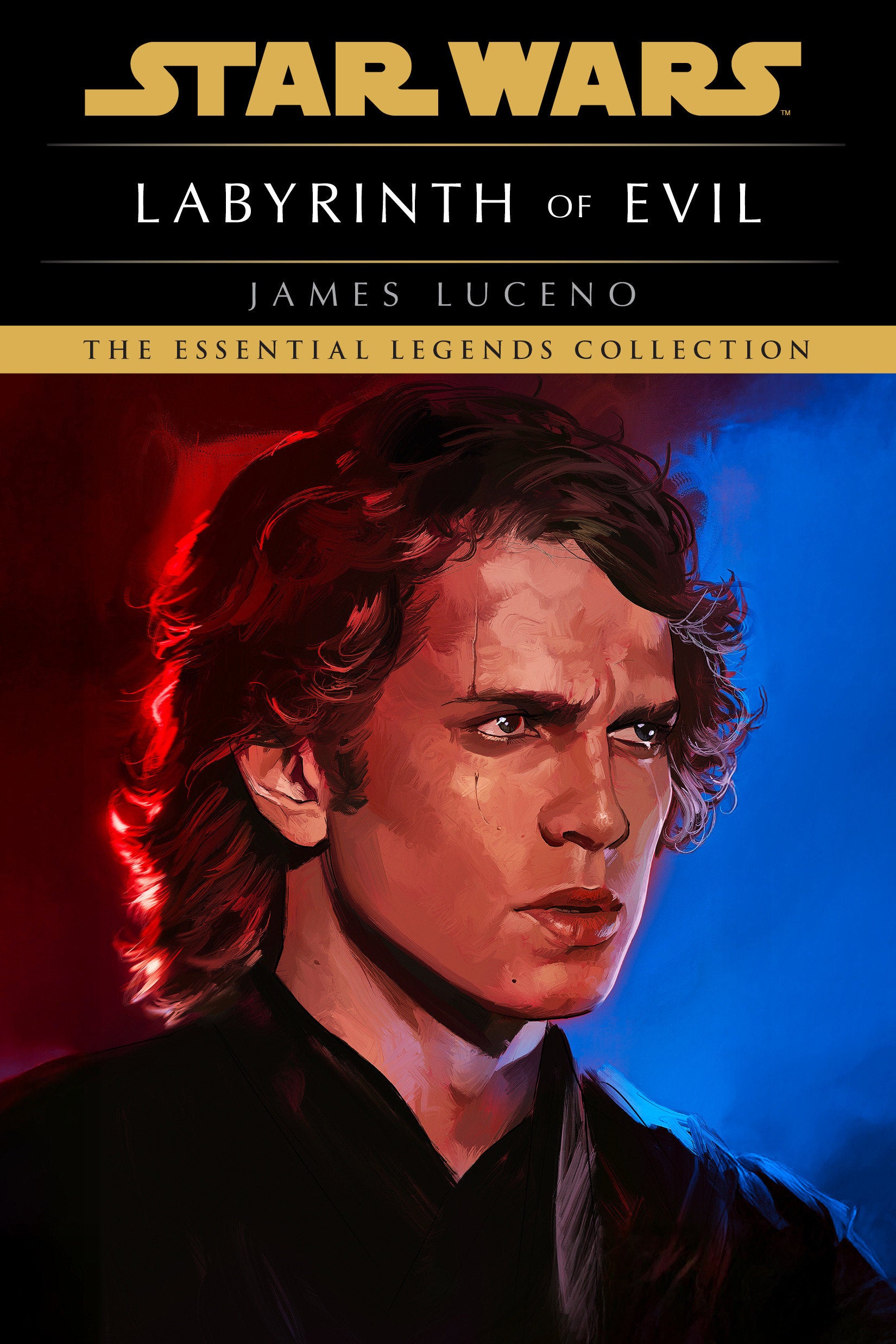 LABYRINTH OF EVIL: STAR WARS LEGENDS TRADE PAPERBACK