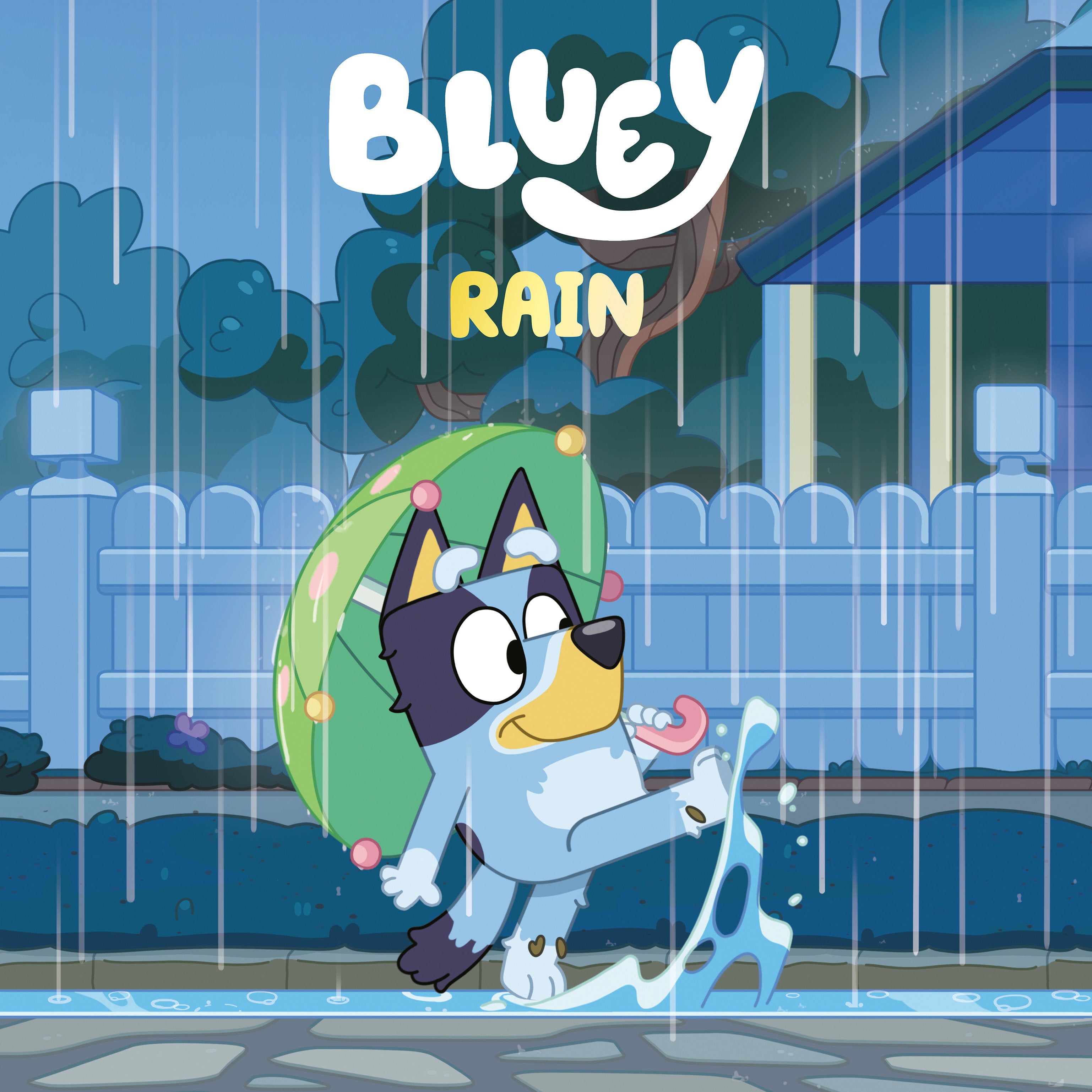 BLUEY: RAIN HARDCOVER