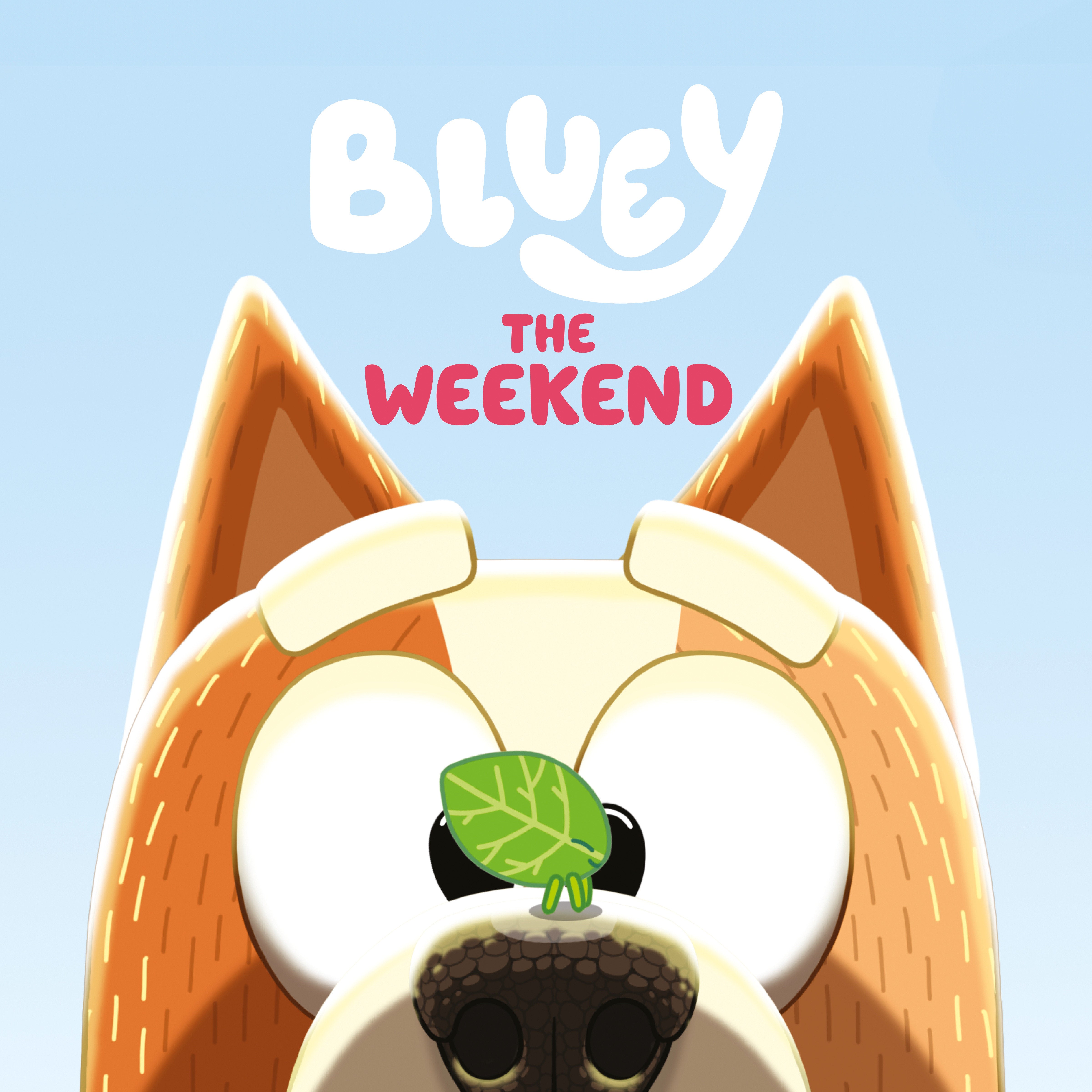 BLUEY: THE WEEKEND TRADE PAPERBACK