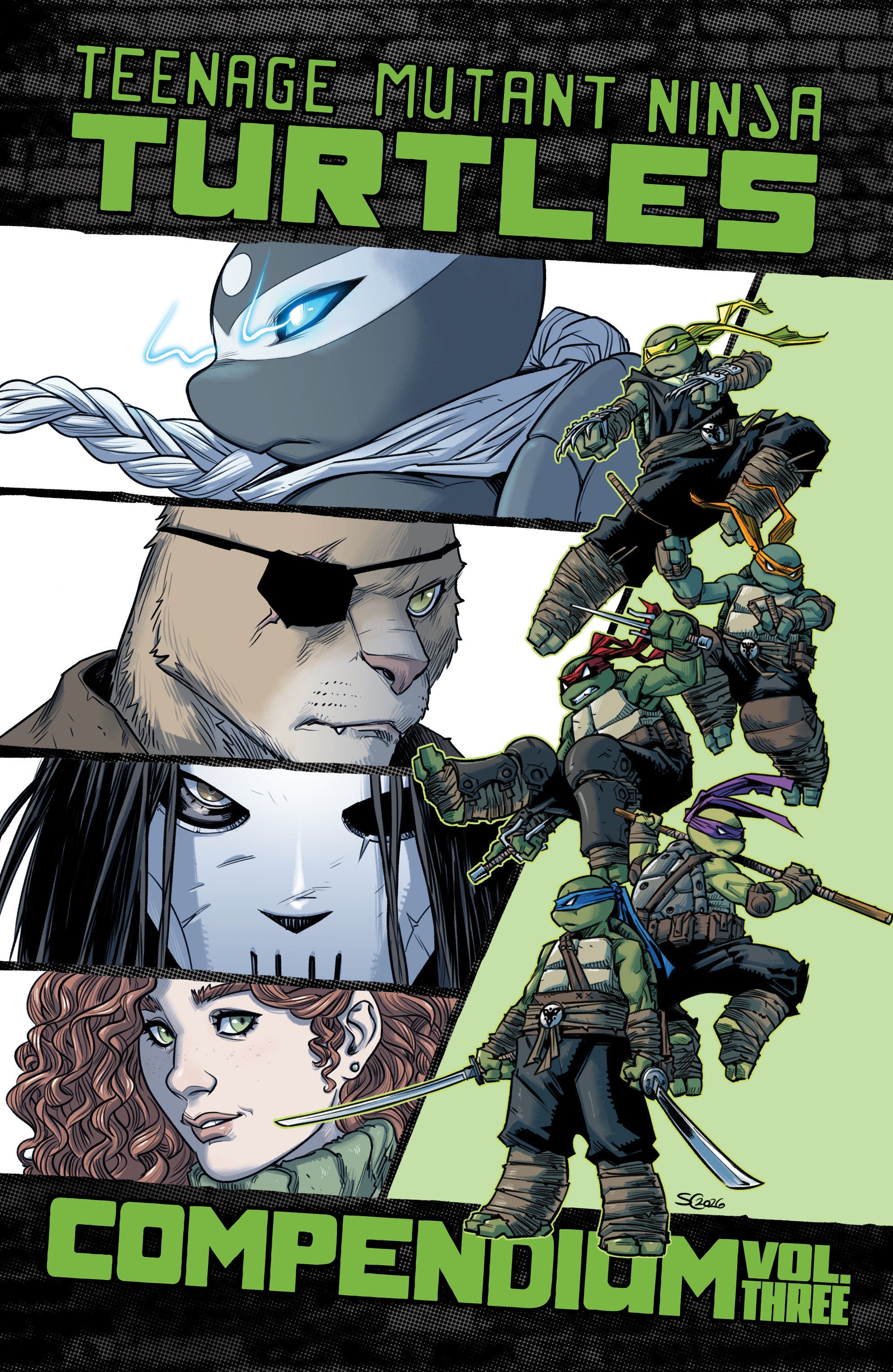 TEENAGE MUTANT NINJA TURTLES: ONGOING COMPENDIUM, VOL. 3 TRADE PAPERBACK
