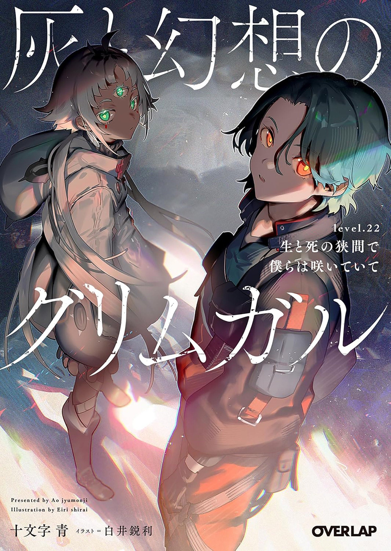 GRIMGAR OF FANTASY AND ASH (LIGHT NOVEL) VOL. 22