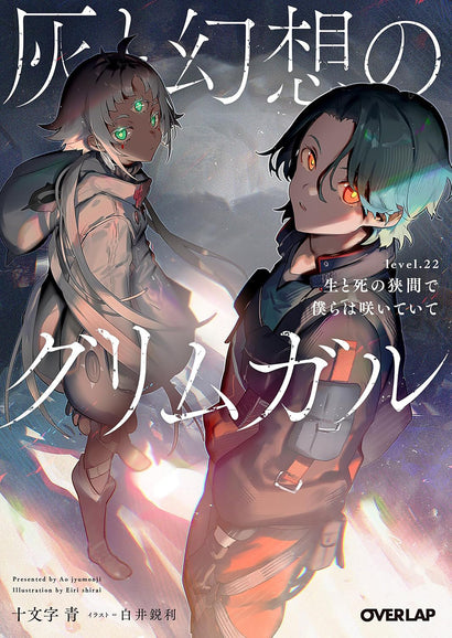 GRIMGAR OF FANTASY AND ASH (LIGHT NOVEL) VOL. 22