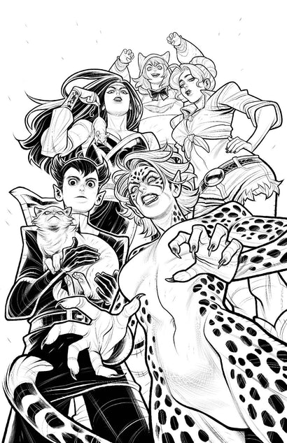 CHEETAH AND CHESHIRE ROB THE JUSTICE LEAGUE #5 COVER C ELIZABETH TORQUE CARD STOCK VARIANT