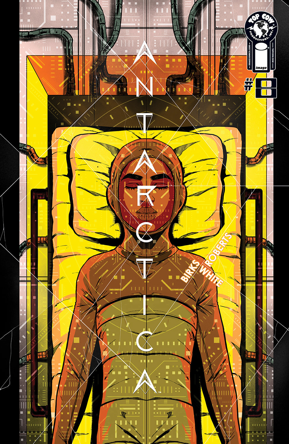 ANTARCTICA #8 COVER A ROBERTS