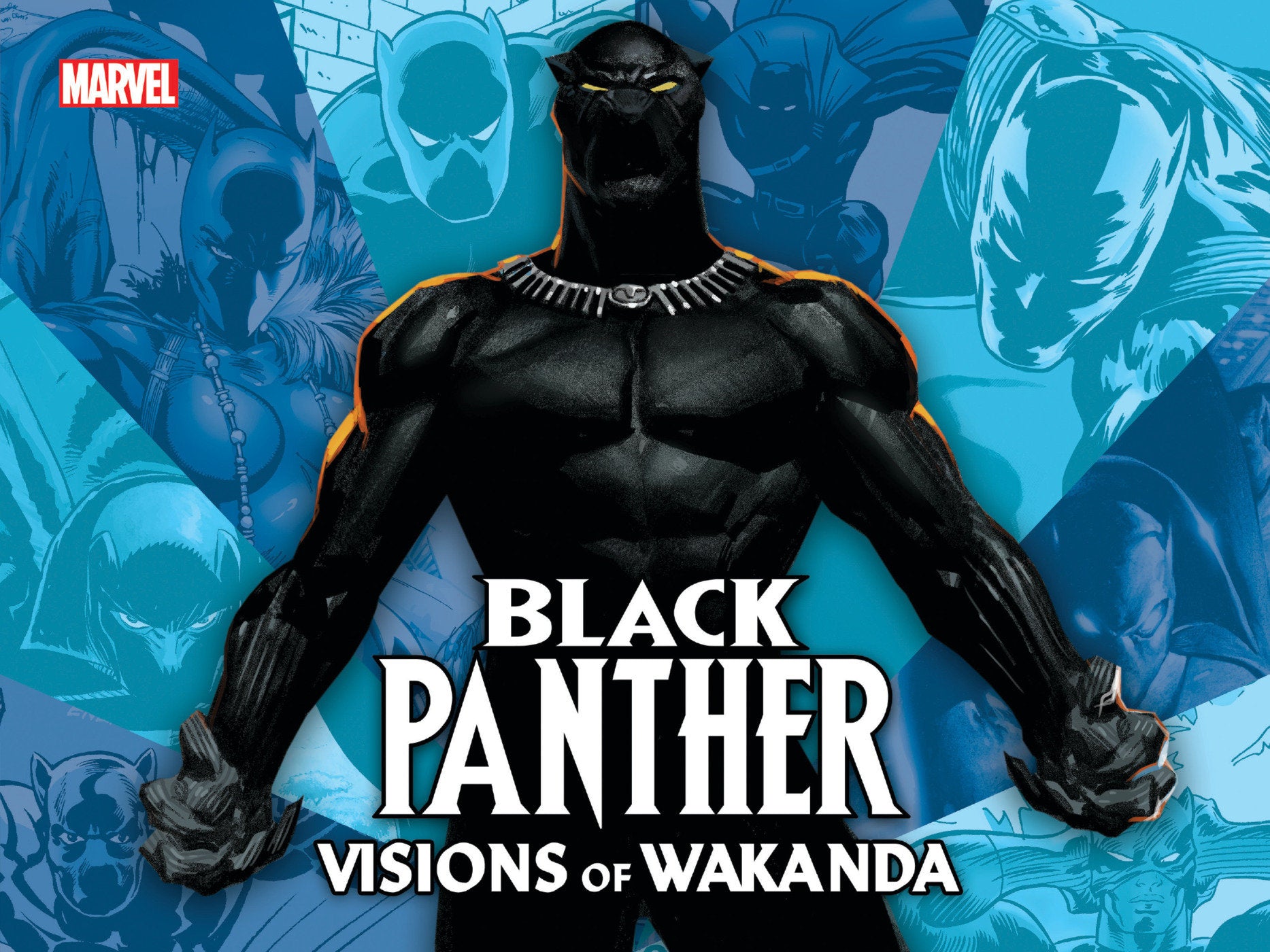 BLACK PANTHER: VISIONS OF WAKANDA HARDCOVER